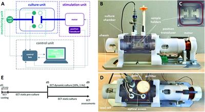 Bioreactor Platform for Biomimetic Culture and in situ Monitoring of the Mechanical Response of in vitro Engineered Models of Cardiac Tissue